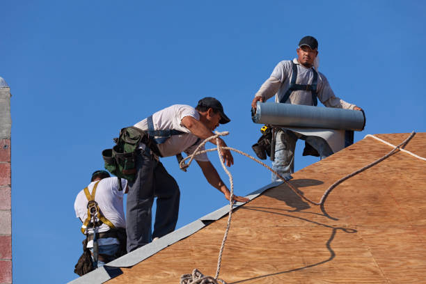 Best Storm Damage Roof Repair  in Lorton, VA