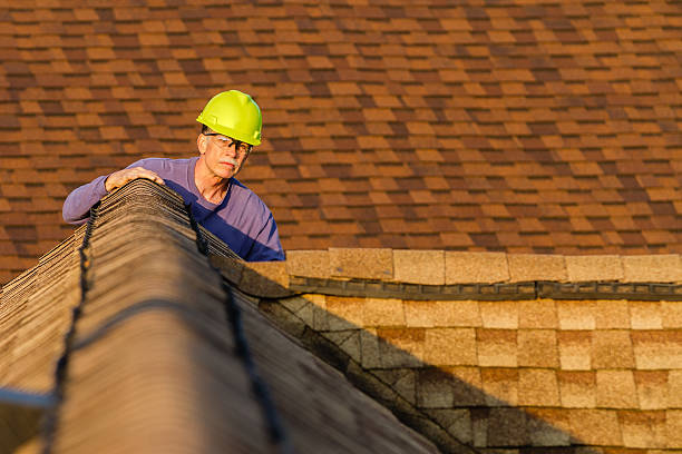 Best Storm Damage Roof Repair  in Lorton, VA