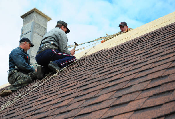 Best Flat Roof Repair Services  in Lorton, VA